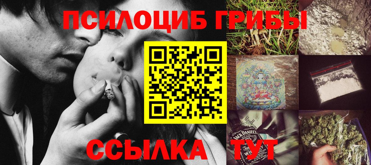 Муром  Галлюциногенные грибы MAGIC MUSHROOMS  Вход с VPN  Псилоцибиновые грибы Psilocybine cubensis 